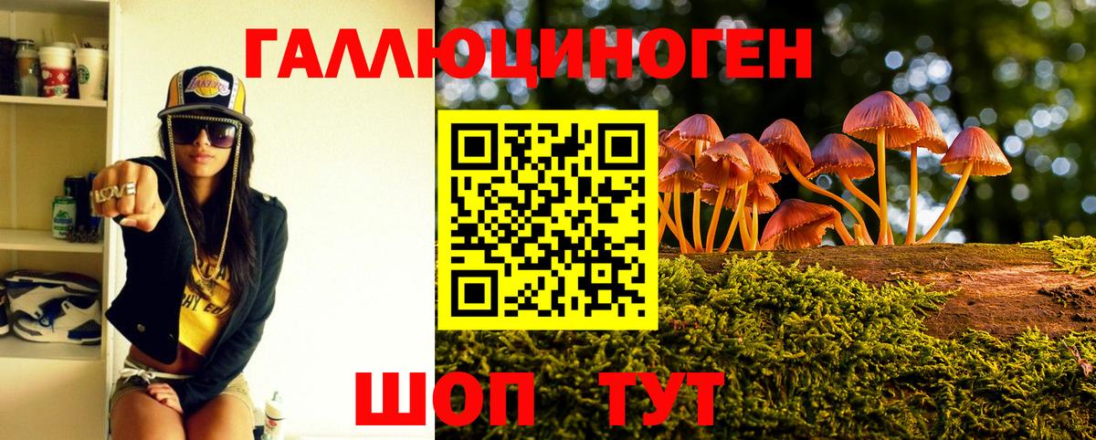 цена   Вход с VPN  Псилоцибиновые грибы прущие грибы  Ипатово  Псилоцибиновые грибы Psilocybe 